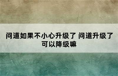 问道如果不小心升级了 问道升级了可以降级嘛